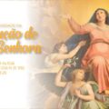 Celebrar em Família: baixe os roteiros da Solenidade da Assunção de Nossa Senhora e do 21º Domingo Comum