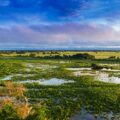 Salvar os rios e  o Pantanal: Ato ecumênico marca mobilização em defesa do rio Cuiabá e do Pantanal