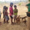 Brasil – Desnutrição infantil ainda é preocupação para Missionários Salesianos