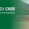 CNBB emite nota em solidariedade aos Yanomami: “As dores de cada Indígena são também da Igreja”