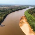 Dia da Amazônia: Preservando o Tesouro verde do Planeta